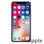 Ремонт iPhone X(10) в Воронеже